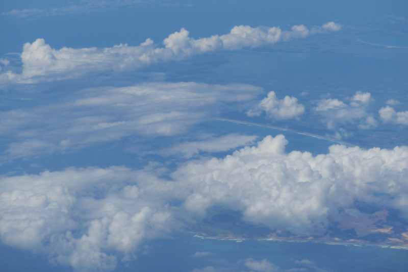 Nieuw-Zeeland 2011 - 2186